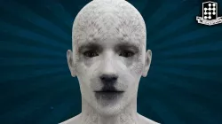 HUMN-006 White Bear 3D model