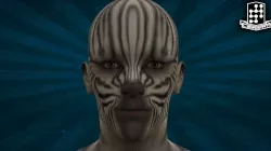 HUMN-012 Zebra 3D model