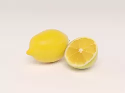 Lemon with lemon slice 3D model