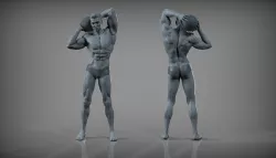 Male Anatomy Sculpt 3D model