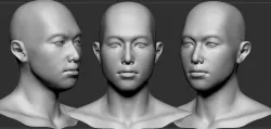 Male  head 3D model