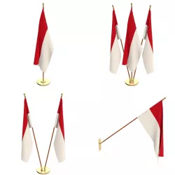 Monaco Flag Pack 3D model