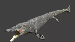 Mosasaurus Low-poly  3D model