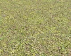 Mossy grass terrain 10 Texture
