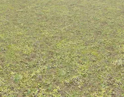 Mossy grass terrain 12 Texture