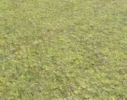 Mossy grass terrain 25 Texture