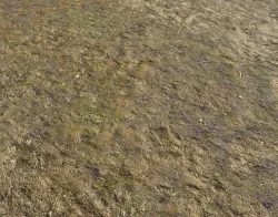 Muddy soil terrain 28 Texture