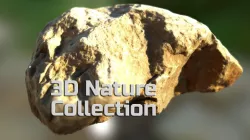 Nature 3D Model Collection