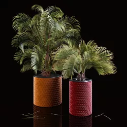 Palms 3D model