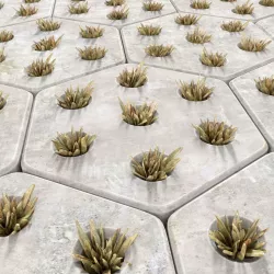Paving hexagon  grass 3D model