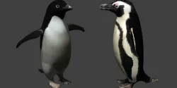 Penguin Low-poly  3D model