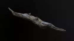 Pine Log 1 - Scanned models for games Low-poly  3D model