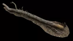 Pine Log 2 - Scanned models for games Low-poly  3D model