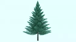 PINE TREE 3D model
