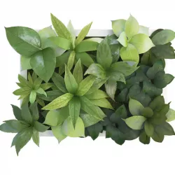 Plant Frame 40 X 30 Cms 3D model