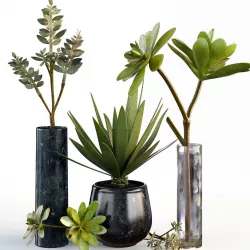 Plants collection 08 3D model