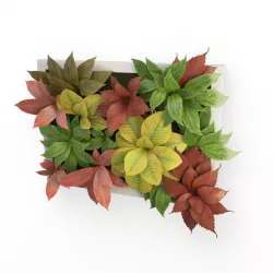 Plants Frame 50 X 40 Cms 3D model