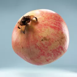 Pomegranate Low-poly  3D model