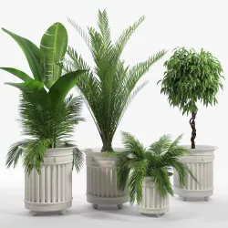 PRESCOTT PLANTER 3D model