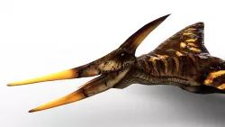 Pterodactyl Low-poly  3D model