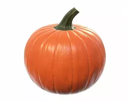 Pumpkin 3D model