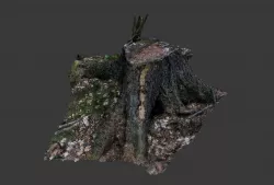 Real Trunk Stump 3D realtime photogrammetry  3D model