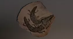 Realistic Crocodile Fossil 3D model
