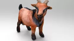 REALISTIC GOAT 3D model