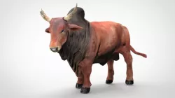 SACRED COW 3D model