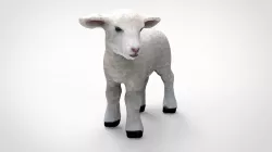 SHEEP 3D model