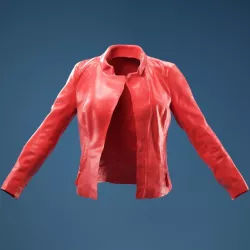 Shiny Jacket 3D model