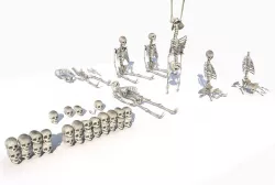 Skeletons and bones pack  PBR Low-poly  3D model