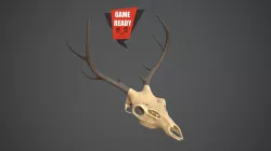 SKULL ANIMAL Pbr Game Ready Low-poly  3D model