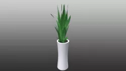 Snake plant - Sansevieria trifasciata pot plant Low-poly  3D model