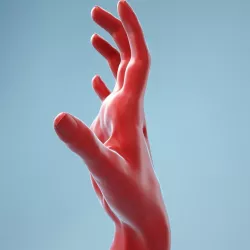 Stretched Claw Realistic Hand Model 08 3D model
