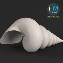 Stylized triton seashell 3D model
