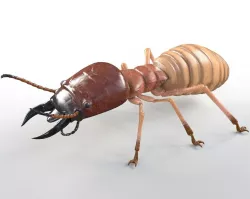 Termite Rigged Hairs Low-poly  3D model