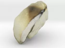 The Sushi of Mackerel
