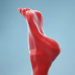 Tip Toes Heeled Realistic Foot Model 03 3D model