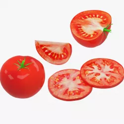 Tomato 3D model