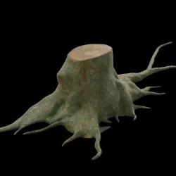 tree root 3D model