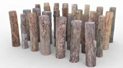 Tree Trunk Pack 3D model