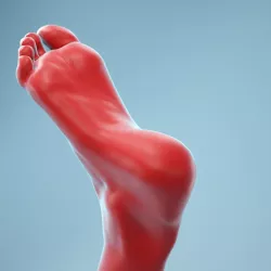 Twisted Pose Realistic Foot Model 02 3D model