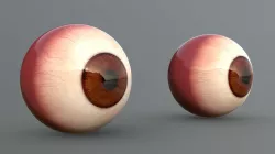 TWO EYE Painted for 3D printing 3D model