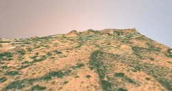 Utah Arches National Park Landscape 3D model