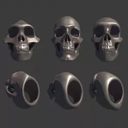 3 Rings Neanderthal Australopithecus and Human Skull Rings 3D Model Collection