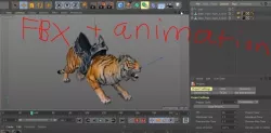 3d moduls Tiger animation c4d fbx 3D model