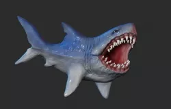 akula 3D model