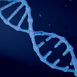 Animated DNA model 3D model