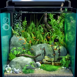 Aquarium 3D model